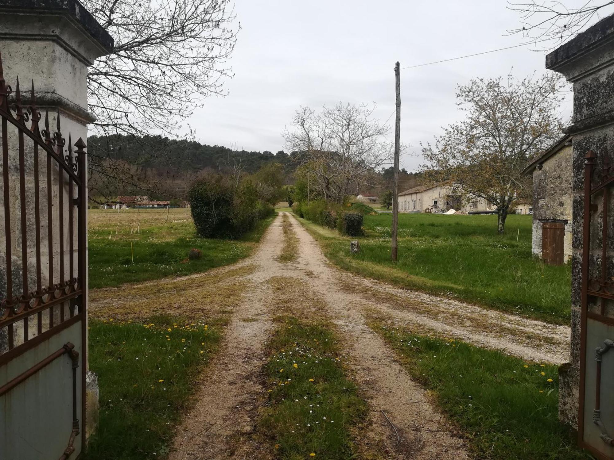 Отель Domaine Du Baron Saint-Martin-l'Astier Экстерьер фото